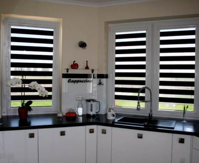 China Minimalist High Quality Blackout Waterproof Zebra Blinds Day And Night Fabric Zebra Roll Shades For Office for sale