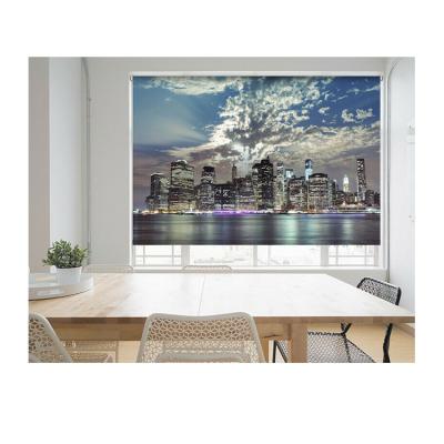 China Minimalist Easy To Clean Living Room Printed Roller Window Shades for sale