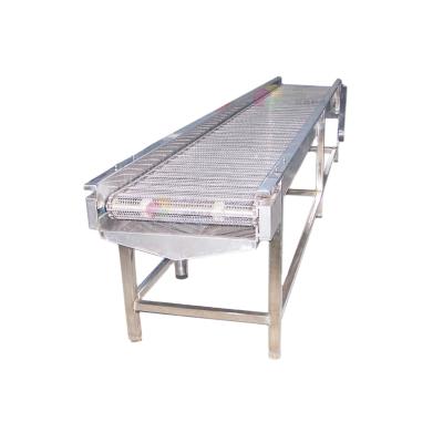 China Oil Resistant High Quality Customized Chain Belt Conveyor For Chicken Farm Egg Production Line for sale