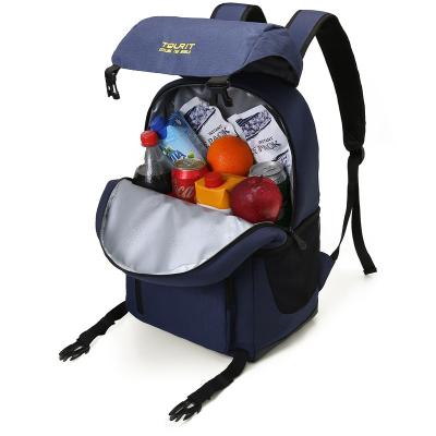 China Wholesale Fashionable Large Capacity Waterproof Backpack Backpack Picnic Outdoor Insulated Bag for sale