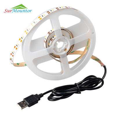 China 5V LED TV LED Strip Light 1W Residential Flexible Ribbon SMD 2835 [60 LEDs/m] Rope Light Strip with USB Connector for sale