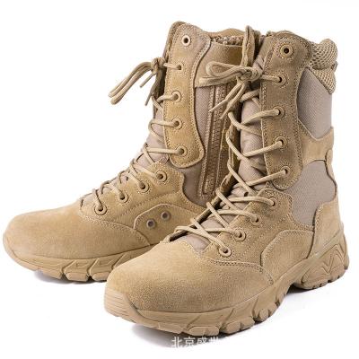 China CUSHIONING Wholesale High Quality Army Tactical Boots Non-slip Outdoor High Top Rise Shoes For Men Training Tactical Shoes Increasing Boots for sale