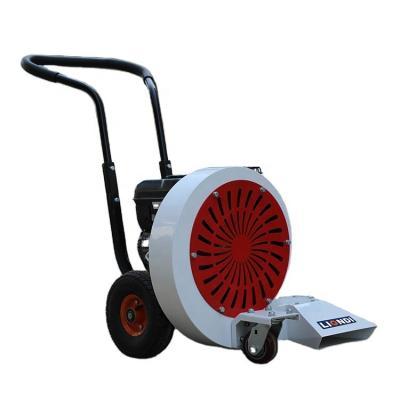 China Easy Operation Gasoline Model Road Dust Blower for sale