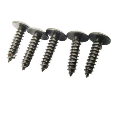 China Truss Factory Direct Sale Cross Recessed M3 M4 M5 Truss Head Tapping Screws Galvanized Black Or Color for sale