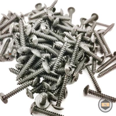 China Self Tapping Truss M4 Carbon Steel Philip Truss Head Wire Cutting Screws Galvanized for sale