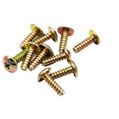 China Manufacturer Direct Sales M5*10 12mm 16 mm Truss Type A A AB B 17 23 25 Tapping Screw for sale