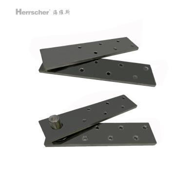 China New Arrival Modern 360 Degree Rotation Up-down Pivot Shaft Stainless Steel Hidden Wooden Door Hinge for sale