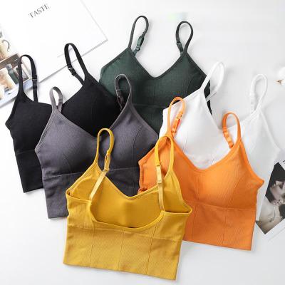 China 656 2022 Wholesale Custom Seamless Ribbed Top Workout Dropshipping Logo Dropshipping Young Lady Breathable Wireless Women Crop Top Bra for sale