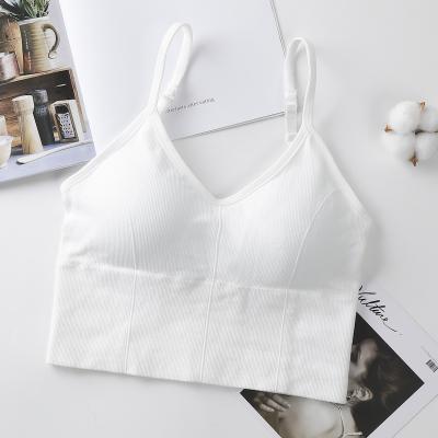 China Anti-pilling new design established in women's activewear summer ribbed crop top sports bra for sale