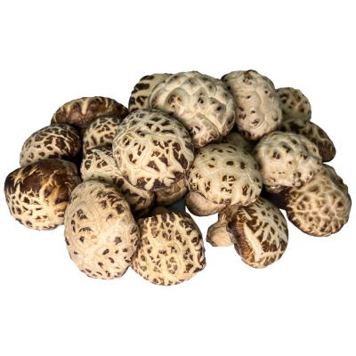 China Wholesale high quality natural dry shiitake mushroom dried shiitake mushroom prices for sale