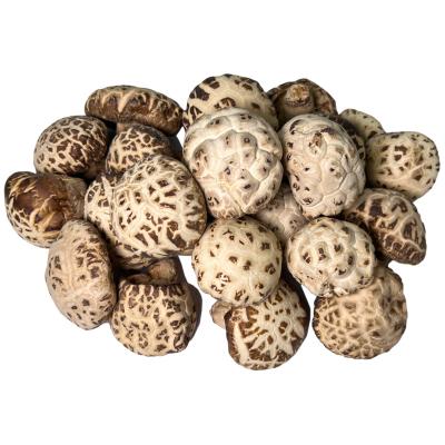 China Essential Dry Organic Dried Shiitake Mushrooms for High Quality Soup for sale