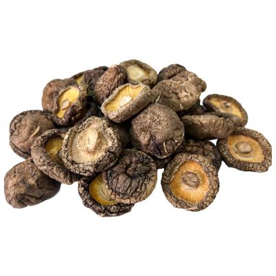 China OEM Dried Factory Price Dried Shiitake Mushrooms High Quality Dried Mushrooms for sale