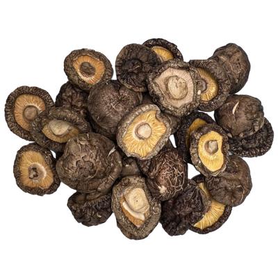 China High quality dry dry shiitake mushroom is high quality organic dry food shiitake mushroom wholesale price for sale