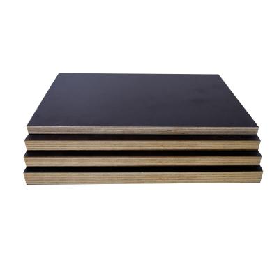 China Good Quality Modern Black Brown Film Papers Use For Film Faced Plywood for sale