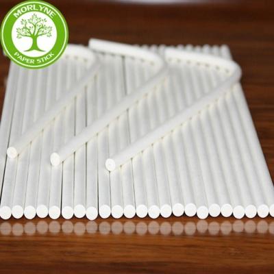 China High Stiffness Promotion Paper Stick Shoe Shoe Stretchers 5.5*219mm Support Stick for sale