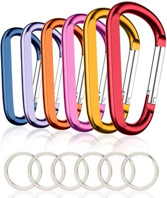 China Promotion Gift Customized Outdoor Aluminum Buckle Carabiner Round Camping Key Chain Hook Metal Without Hook Light Weight Durable Durable for sale