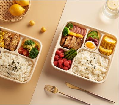 China Stocked Disposable Cornstarch Takeout Lunch Box Supports 3 5 Custom Grids Environmentally Friendly And Biodegradable for sale