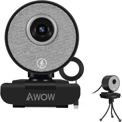 China Camara AI Humaniod Function AWOW 1080P FHD Webcam Auto Lane Camara AI Humaniod Camera Full HD Webcam for sale