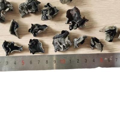 China COOL DRIED Storage Type Cultivated Dried Black Fungus for Traditional Chinese Medicin for sale