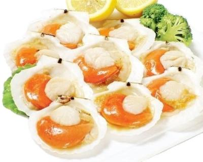 China Highly Recommended Frozen Half Shell Scallop with BQF Freezing Process for sale