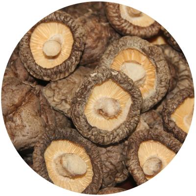 Chine Extrait de champignon à crinière de lion brun Champignon shiitake séché 1 kg par sac à vendre