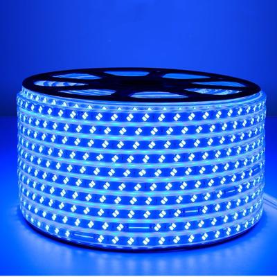 China FENGDIAN LANDSCAPE Factory Accessible Design LED Digital SMD5050 RGB LED Strip Light for sale