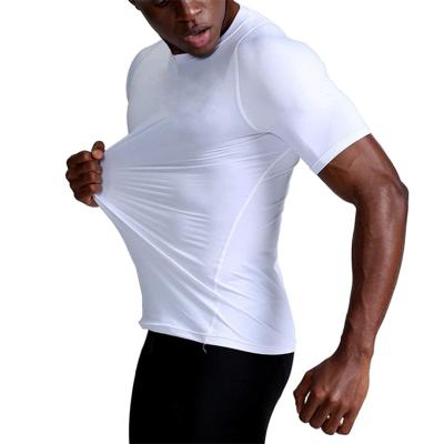 China Anti-Wrinkle OEM Elastane Custom Lightweight Muscle Fit Dry Fit Gym Sport Fitness T-Shirt For Men for sale