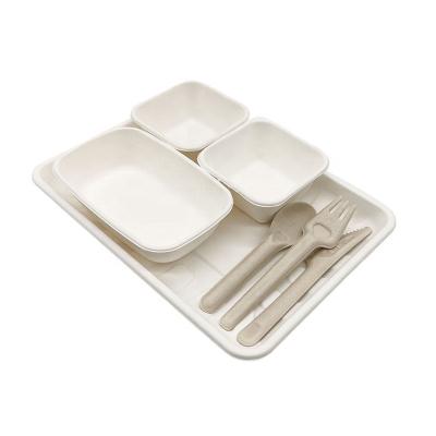 China Disposable Tableware Sugar Cane Pulp Bagasse Biodegradable Disposable Tableware for sale