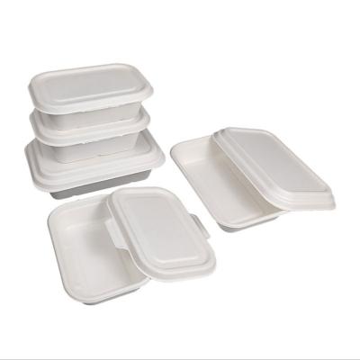 China Minimalist HeePACK Sugar Cane Bagasse Coffee Cup Bagasse Lid Lunch Box Bagasse Detachable Salad Boxes for sale