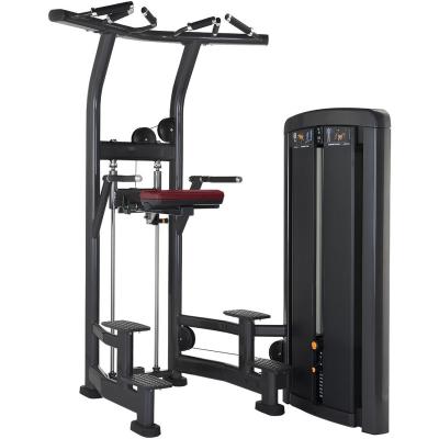 China 2023 Strong New Hot Sale Pin Loaded Machine Assisted Chin Dip Up Strength Gym Machine for sale