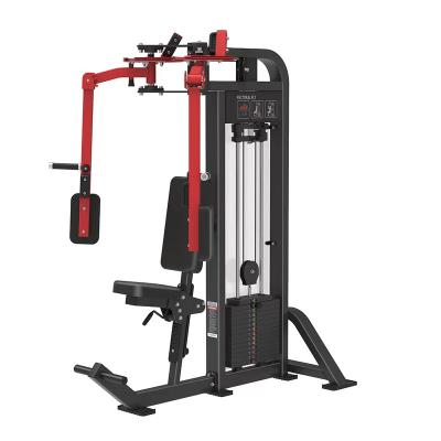 China EVERE Strong FITNESS Pin Loaded Machine Rear Delt /Pec Fly Dual Functional Gym Machine for sale