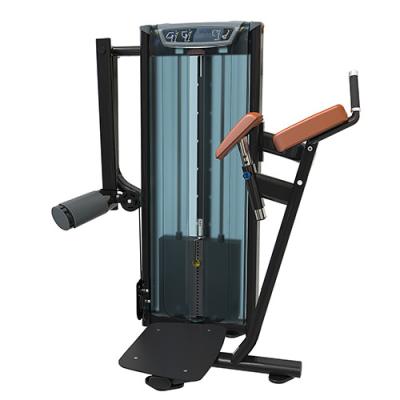 China EVERE FITNESS Strong Pin Loaded Glute Ham Machine High Quality Gym Strength Machine In China for sale