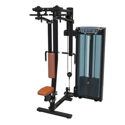 China EVERE FITNESS High End Quality Chest Fly Delt Pin Loaded Strength Machine Dual Back Function for sale