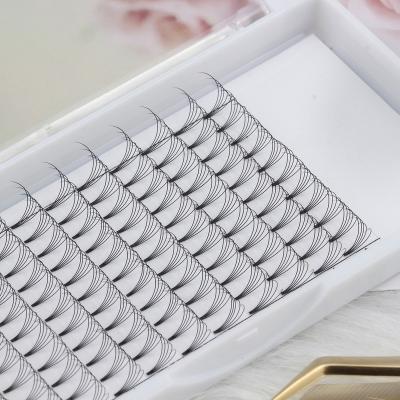 China Light Pre Made Fans 5D 8D 10D 12D 14D Russian Volume Lashes 0.05 Mm Loose Volume Lashes False Eyelashes 12D 14D for sale