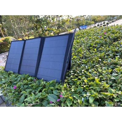 China 60W Buiten Solar Panel Charger PWM Controller voor opladen en zonne-energie Te koop