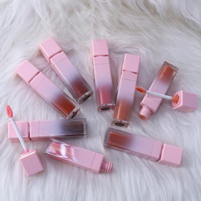 China Custom lapiz private label makeup lip gloss liquid matte lip gloss long lasting labial waterproof vegan waterproof for sale