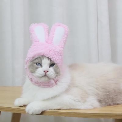 China Cat Rabbit Hat Pet Dog Headgear Viable Cotton Teddy Bichon Hat for sale