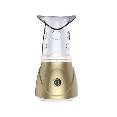 China DEEPLY CLEANING 2 in 1 Mini Facial Steamer Portable Nano Ionic Facial Steamer for sale