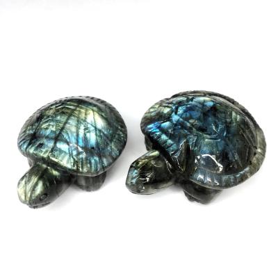 China Blue Instant Labradorite Crystal Tortoise from China Natural Labradorite Tortoise for Decoration for sale