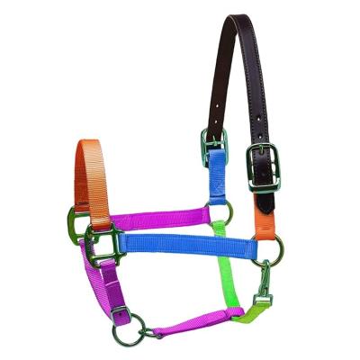 China Super Style Horse Headcollar Halter Collar / Luxury Fluffy Head Halter, Colorful Padded Horse Head Collar Sets for sale