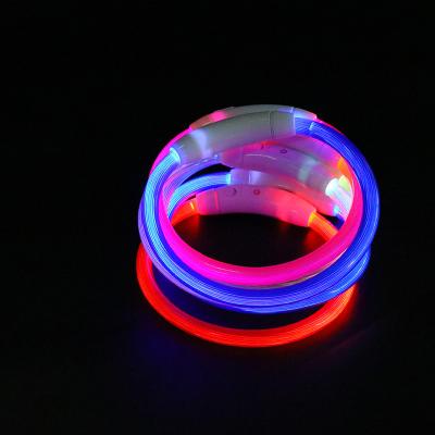 China Lights 2022 Hot Selling Labrador Pet Luminous Pet Collar Dog Ring LED Collar Pet Walking Supplies Wholesale for sale