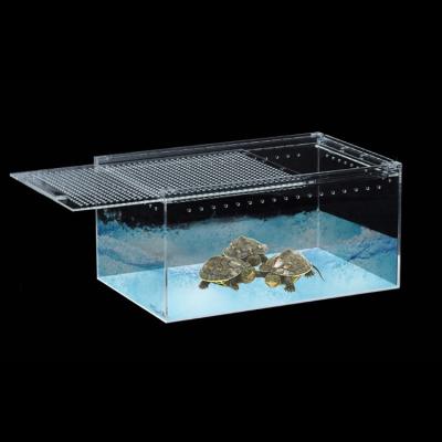 China Worm Viable Acrylic Reptile Reptile Feeding Box Transparent Animal Lizard Feeding Box for sale