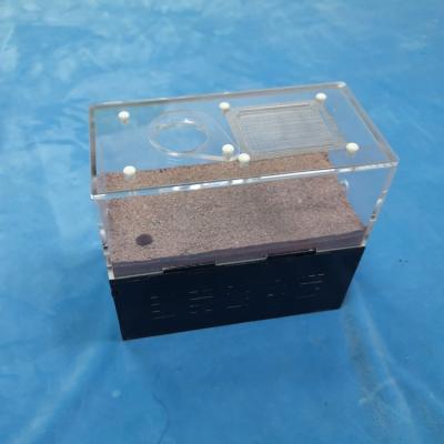 China Ant House Nest Worm Cage Viable High Grade Acrylic Breeding Ant Farm Nest Reptile Cage Gypsum Board Base OEM Viable REPTILES for sale