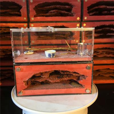 China Viable Wholesale Clear Acrylic Ants Housing Insect Cage Feeding Ant Farm Nest for sale