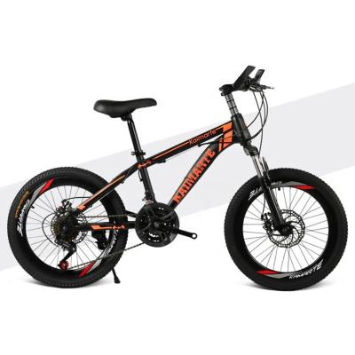 China Tour Factory Supply 20 Inch Mountain Bike Kids Cycling 21 Speed ​​Double Disc Brake Mountain Bike for sale