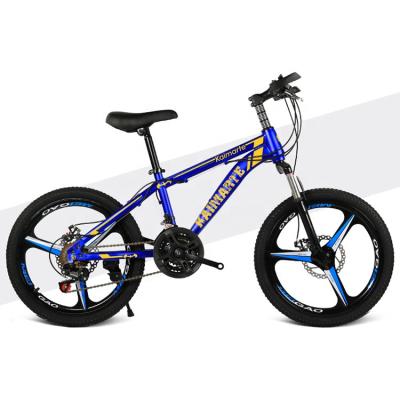 China Wholesale 20 Inch Mountain Bike Carbon Steel Mountain Bicycle Chinese Ride Manufacturers for sale