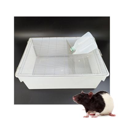 China Excellent stackability for ease of PSU Plastic PVC Polypropylene Polycarbonate Lab Rat Mouse Cage Rodent. large cheap handling and storage lab breeding tubs for sale