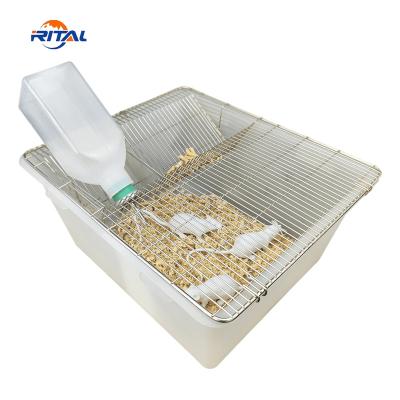 China Excellent stackability for ease of handling and storage professional production polypropylene rodent breeding feed plastic mice tubs rat breeding cage for laboratory for sale