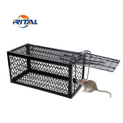 China Live Mouse Trap Cage /Humane Disposable Rat Trap for sale