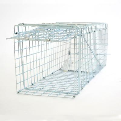 China Large Disposable Animal Trap Cage 61x18x21cm Steel Galvanized Collapsible Cage for sale